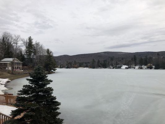 Eden Ethical Dog Sledding Experience by null