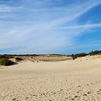 Jockey's Ridge State Park - Parks Near Me - Nags Head, North Carolina Jockey's Ridge State Park - Parks Near Me - Nags Head, North Carolina