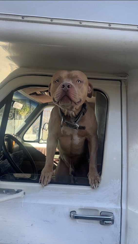 County Of Los Angeles Department Of Social Services - social services organization in Los Angeles, CA