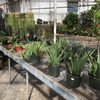 Norfolk County Feed & Seed Store gift card