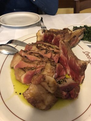 Trattoria CocoLezzone by null