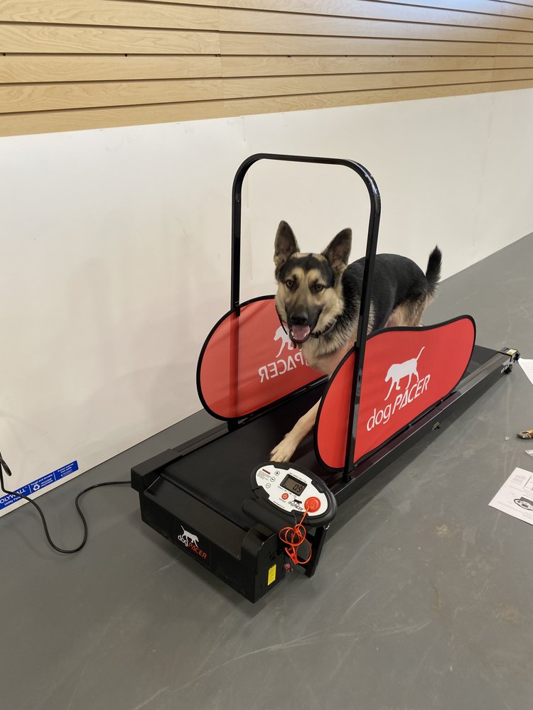 HILLTOP CANINE Updated September 2024 13 Photos 507 E Central St