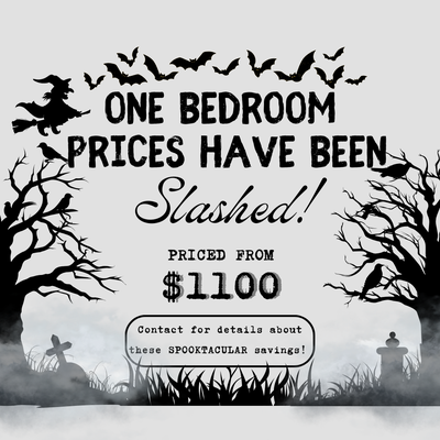 The Polo Club by null