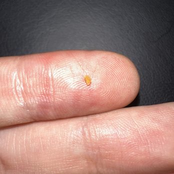 ippudo V West Hollywood - A small crystal?? - Ramen Near Me - West Hollywood, California ippudo V West Hollywood - A small crystal?? - Ramen Near Me - West Hollywood, California