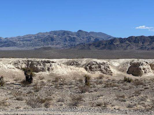 Tule Springs Fossil Beds National Monument by null