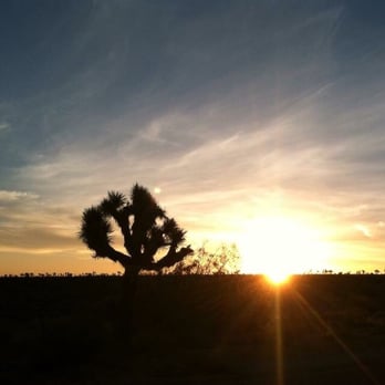 Crossroads Cafe - Stop and see this first - Cafes Near Me - Joshua Tree, California