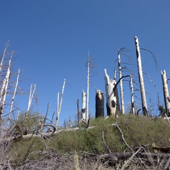 Harvey Moore Trail - yep, we hiked in the sticks - Hiking Near Me - Descanso, California