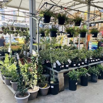 The Home Depot - Nursery. - Hardware Stores Near Me - Hollywood, California The Home Depot - Nursery. - Hardware Stores Near Me - Hollywood, California