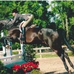 Rollover Downs