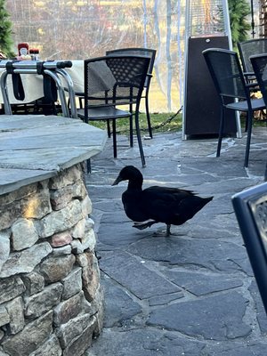 The Old Mill Pottery House Café by null