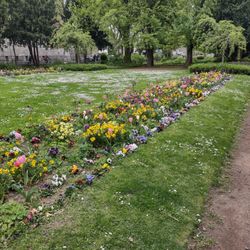 Rheingärtchen