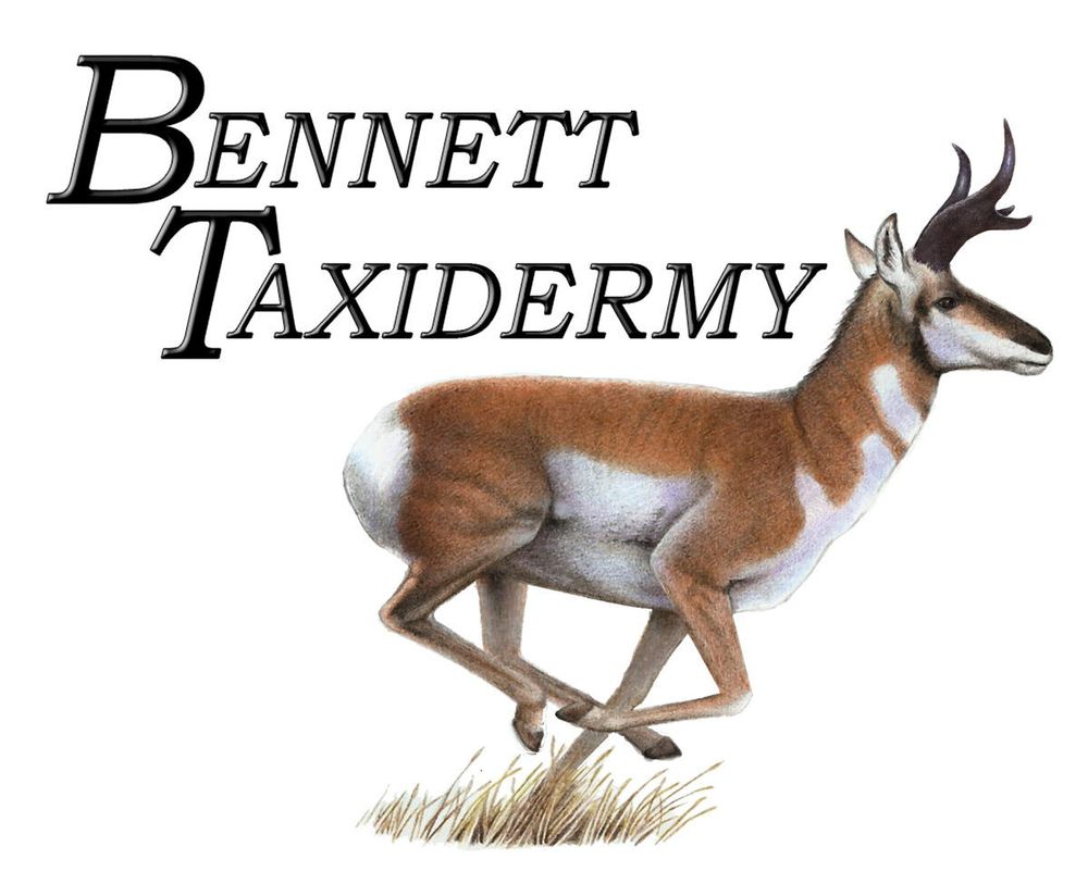 Bennett Taxidermy - taxidermy in Nampa, ID