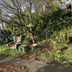 Modern Paving - Another view of the weeds in the front yard