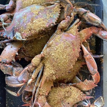 The Surfing Crab - 1/2 dozen selects - Seafood Near Me - Lewes, Delaware The Surfing Crab - 1/2 dozen selects - Seafood Near Me - Lewes, Delaware
