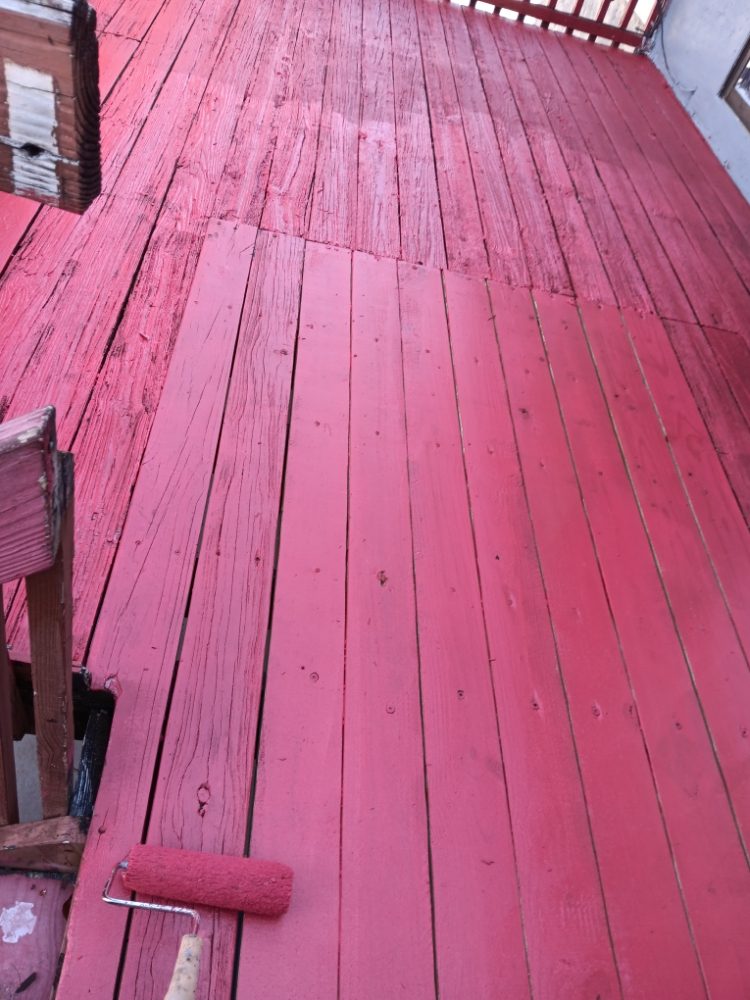 Slide of Pakmarica Painters Florida