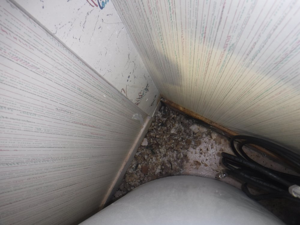 Stewart Ritter - Pillar To Post - mold inspector in Colorado Springs, CO