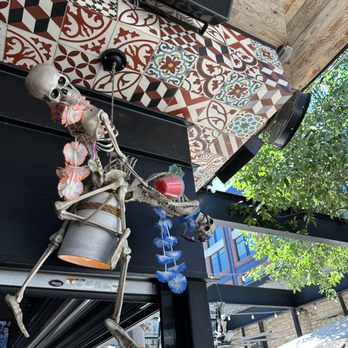 Lefty's Day and Night - Bars Near Me - Austin, Texas