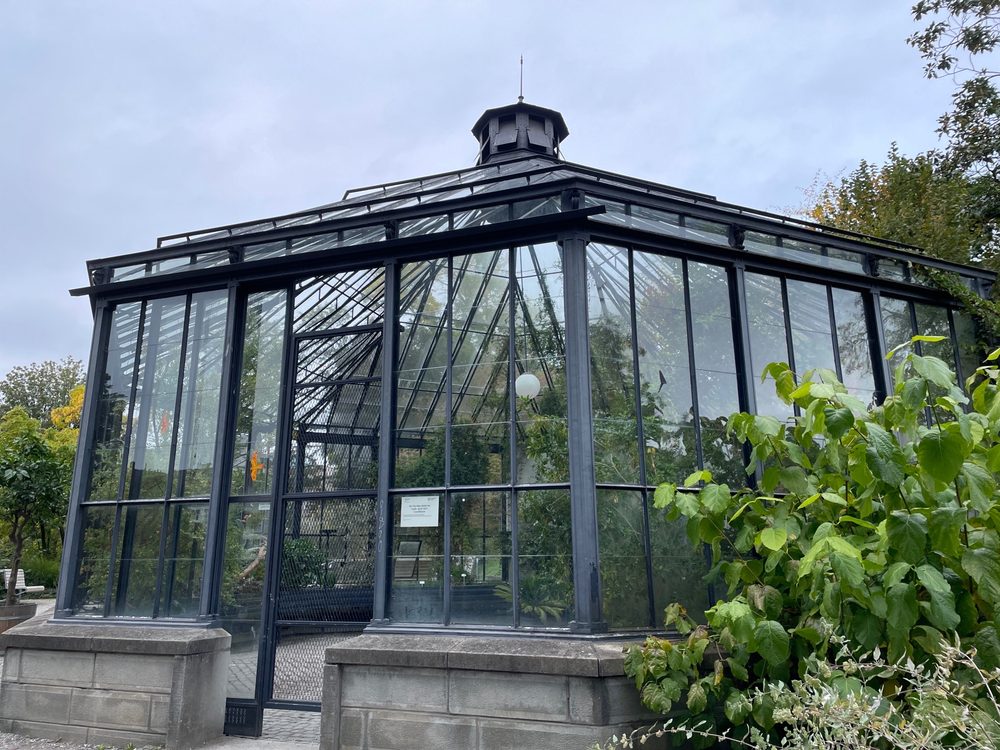 Alter Botanischer Garten