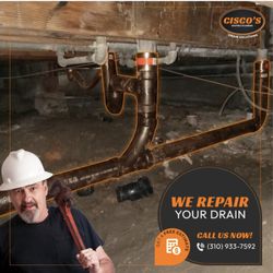 Ciscos Plumbing