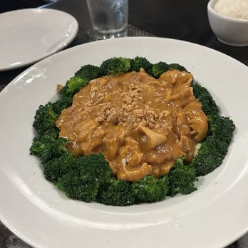 Thailicious - Praram. This is the actual dish. It wasn't on the menu but a special of the day posted. Served with rice but not in the photo. - Thai Near Me - Longwood, Florida Thailicious - Praram. This is the actual dish. It wasn't on the menu but a special of the day posted. Served with rice but not in the photo. - Thai Near Me - Longwood, Florida