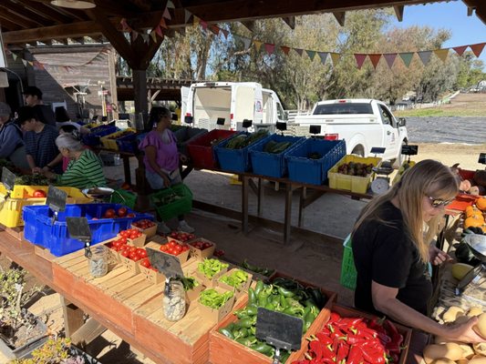 Coastal Roots Farm by null