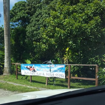 Kodama Koi Garden - Local Fish Stores Near Me - Davie, Florida Kodama Koi Garden - Local Fish Stores Near Me - Davie, Florida