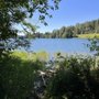 Photo of Alder Lake Park