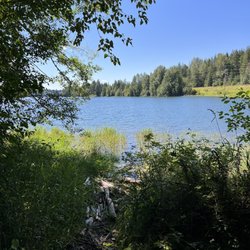 Alder Lake Park - Beach