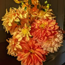 Eastside Schoolhouse Gardens