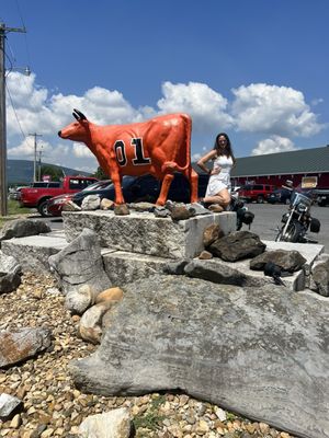 Cooter's Place - Luray by null