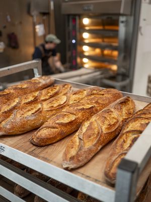 Proof Bread by null
