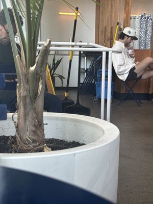 Backyard Bowls by null