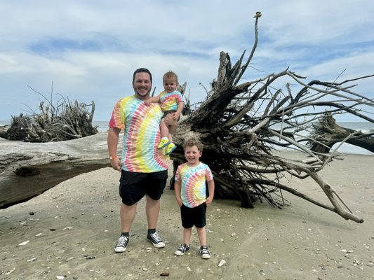 Botany Bay Heritage Preserve/Wildlife Management Area by null