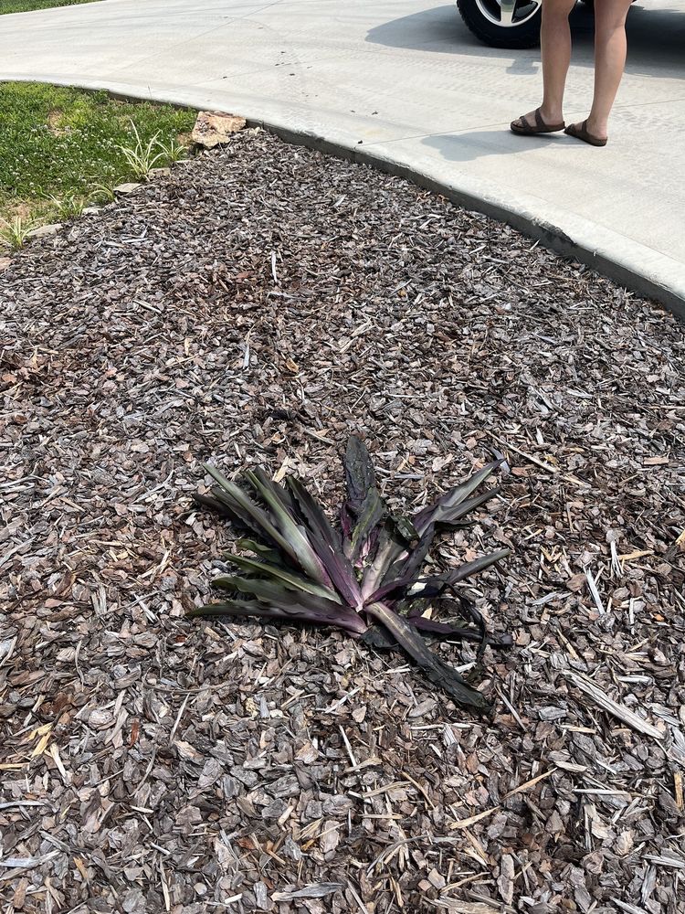 INCREDIBLE! INFLATABLES & AMUSEMENTS Updated October 2024 Hendersonville, North Carolina