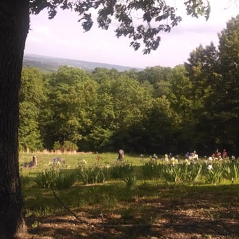 Lindwedel Winery - View from the patio - Wine Tasting Room Near Me - Branson, Missouri