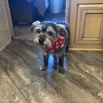 Pooch Parlor - Pet Groomers Near Me - Kerrville, Texas