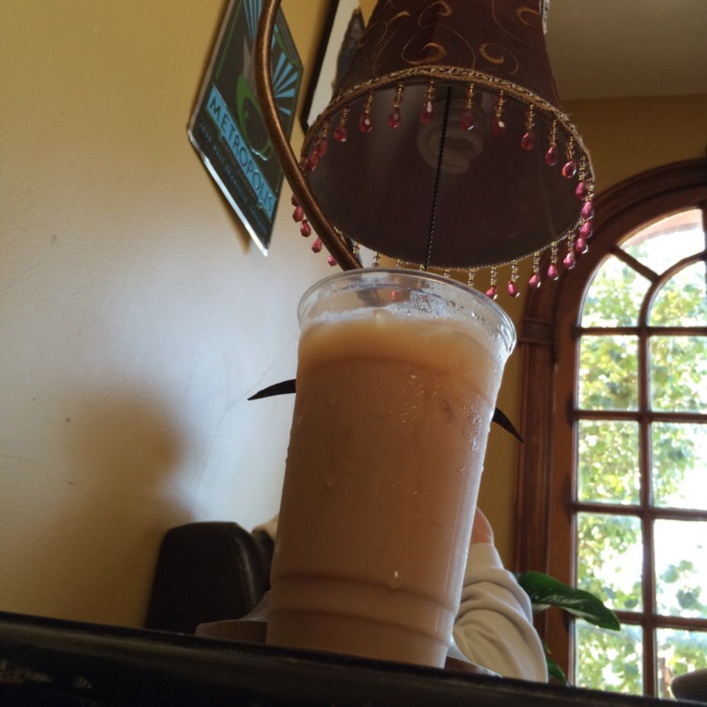 Gryphon Cafe - their window game is too clean. - Coffee & Tea Near Me - Wayne, Pennsylvania