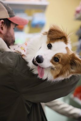 Bark Social by null