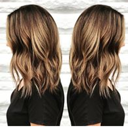 Stay Wild Salon