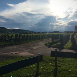 Campingplatz Trittenheim - Abendstimmung
