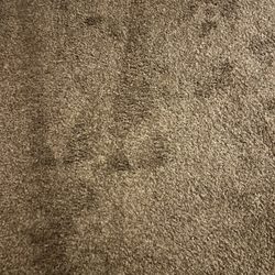 The Cleaning Authority - White Plains - Beautifully vacuumed  carpeting, looking like brand new!