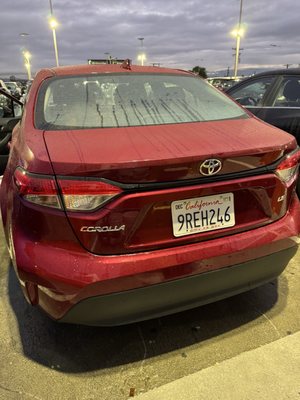 Enterprise Rent-A-Car - LAX Airport by null