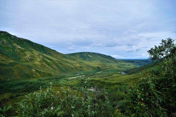 Denali Backcountry Lodge by null