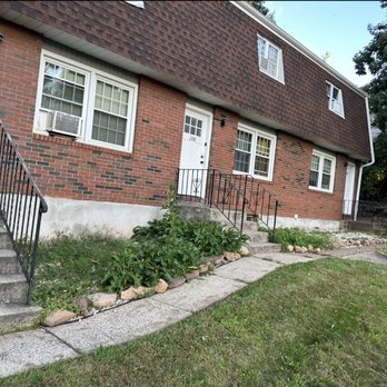 Undercut Tree & Lawn Services - Tree Services Near Me - Bristol, Connecticut Undercut Tree & Lawn Services - Tree Services Near Me - Bristol, Connecticut