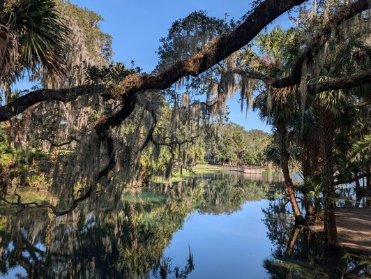 Gemini Springs Park by null