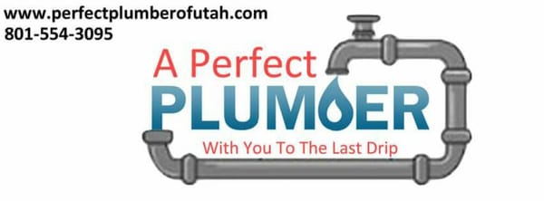 A Perfect Plumber Logo