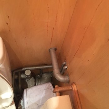 Sagar - Filthy bathroom, wonder how the kitchen would be - Indian Near Me - London, LND
