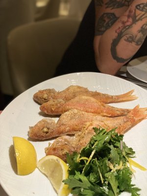 Downstairs Wine Bar by null Downstairs Wine Bar by null