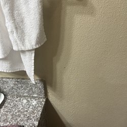 Quality Inn - Food or vomit stuck on the wall of the bathroom. See the photo with the red circle.
