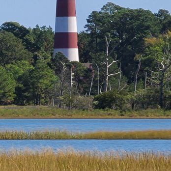 Assateague Adventures - Aseteague lighthouse - Boat Tours Near Me Assateague Adventures - Aseteague lighthouse - Boat Tours Near Me